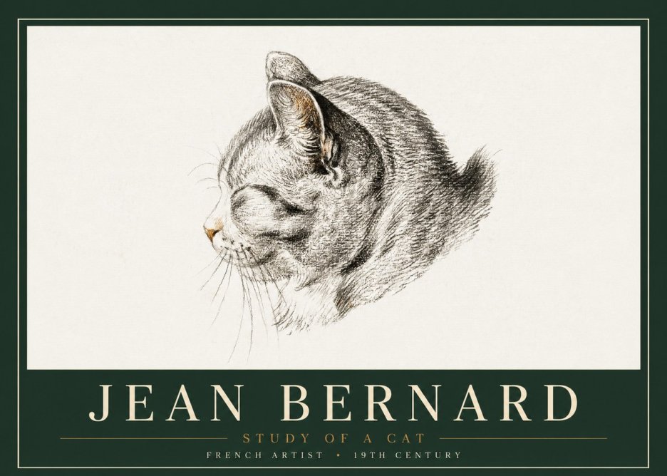 Jean Bernard Study of a Cat I No4 - Poster