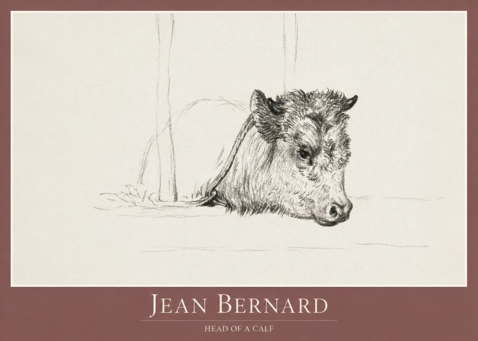 Jean Bernard Study of a Calf I No2 - Poster