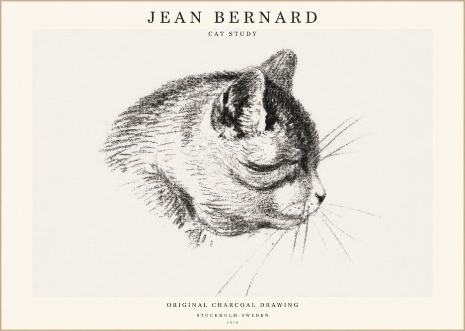 Jean Bernard Cat Study IV No1 - Poster