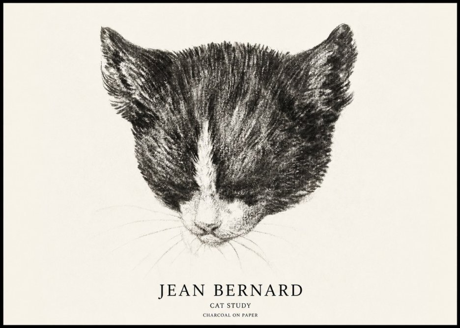 Jean Bernard Cat Study V No1 - Poster