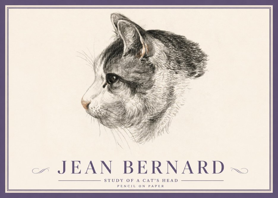 Jean Bernard Cat Study, Profile No5 - Poster