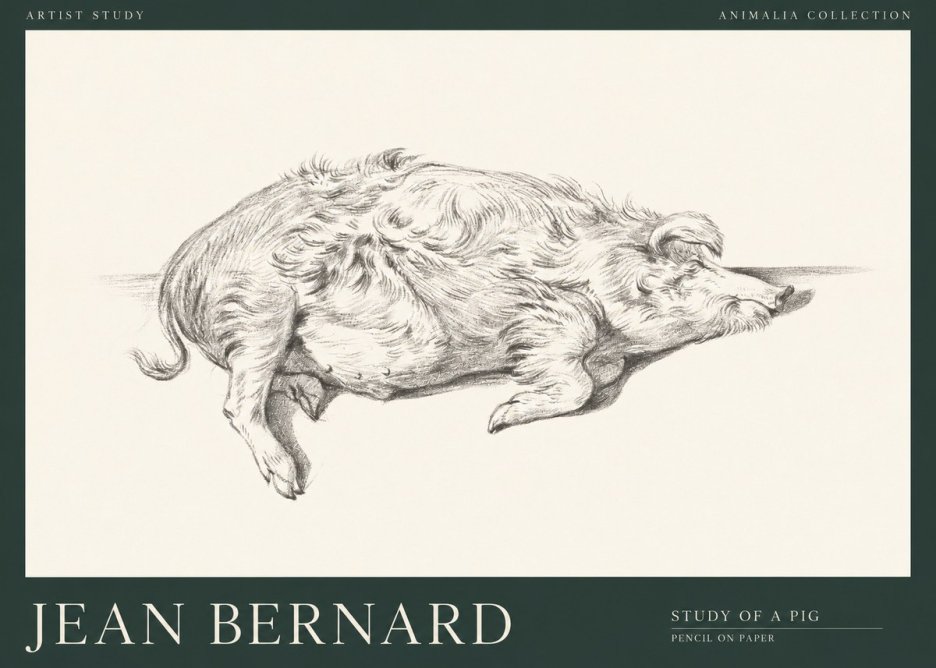 Jean Bernard Study of a Pig I No1 - Poster