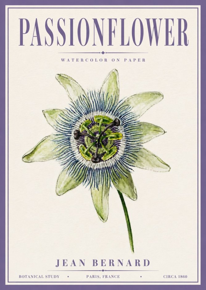 Jean Bernard Passionflower No6 - Poster