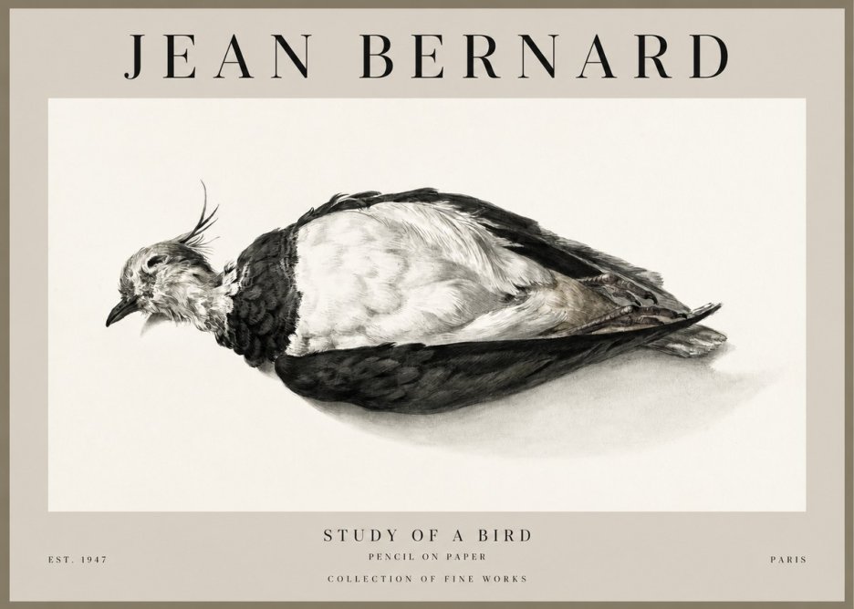 Jean Bernard Study of a Bird II No1 - Poster