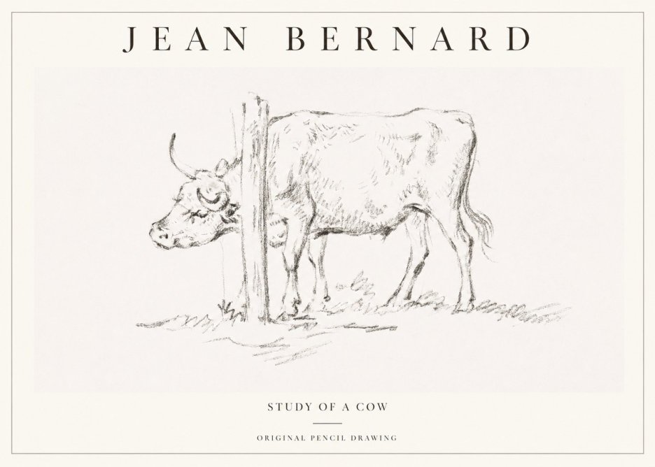 Jean Bernard Study of a Cow VII No1 - Poster