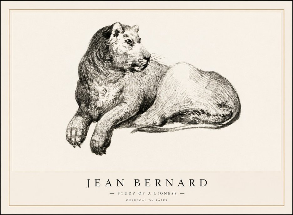 Jean Bernard Lying Lioness No2 - Poster