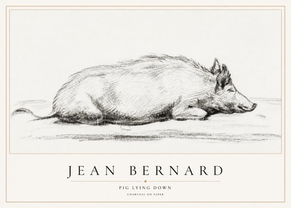 Jean Bernard Resting Pig I No2 - Poster