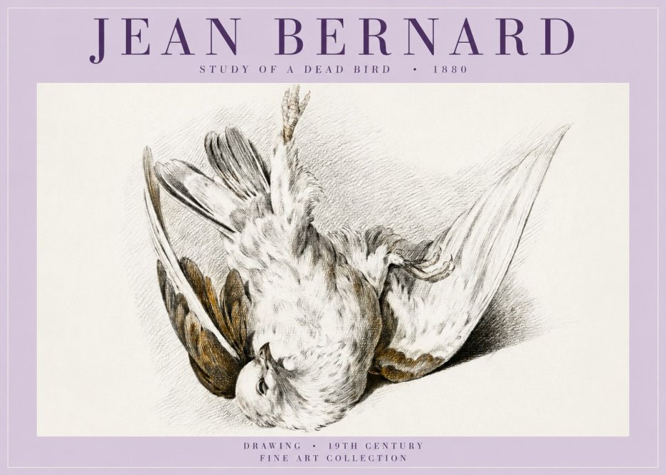 Jean Bernard Study of a Dead Bird No5 - Poster