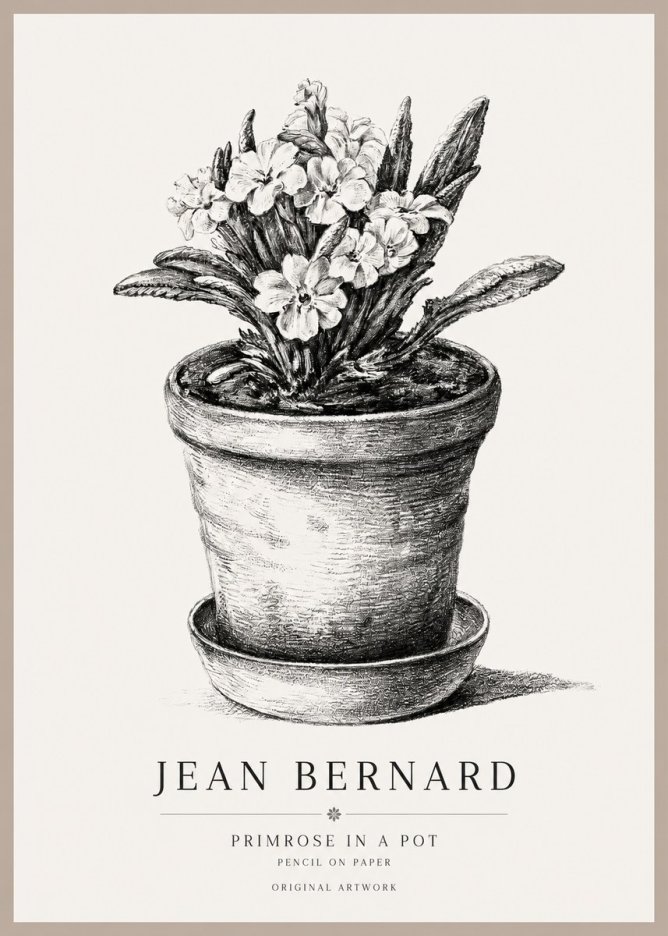 Jean Bernard Potted Primrose No2 - Poster