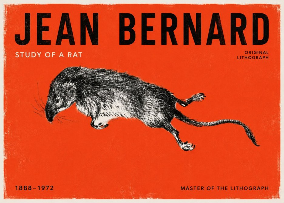 Jean Bernard Study of a Rat II No2 - Poster