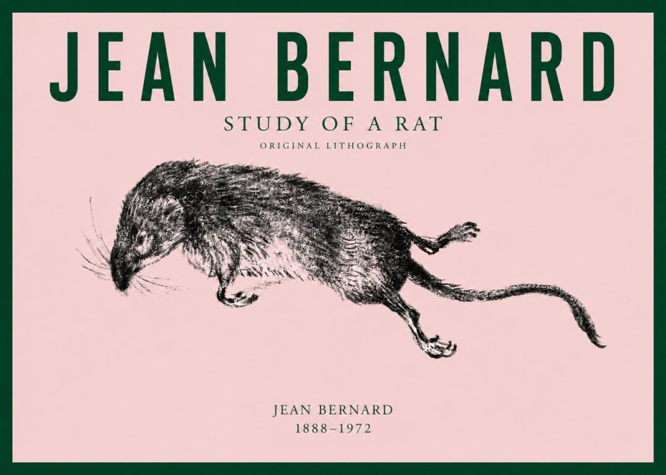 Jean Bernard Study of a Rat II No3 - Poster