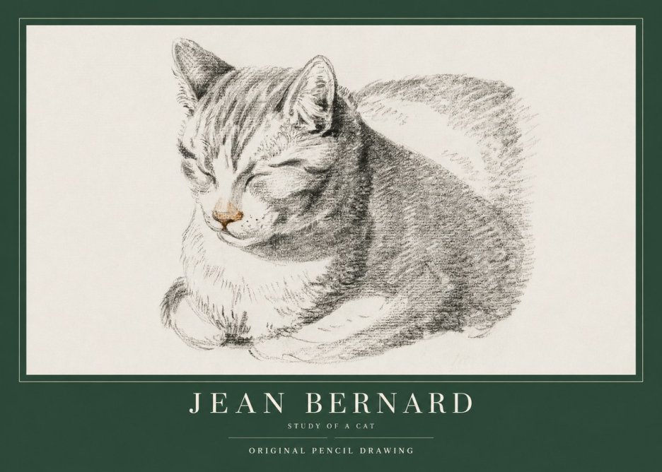 Jean Bernard Sleeping Cat VI No4 - Poster
