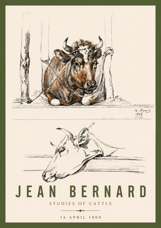 Jean Bernard Studies of Cattle III No4 - Poster