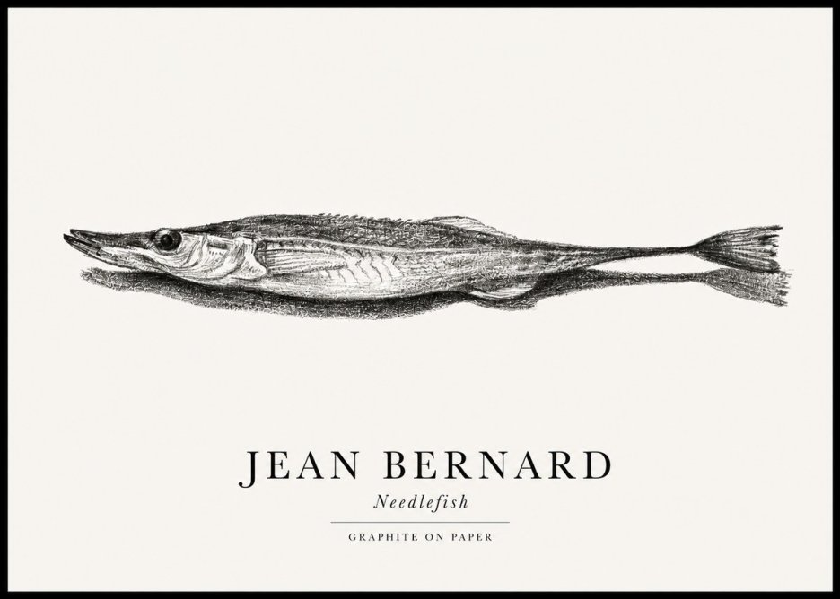 Jean Bernard Needlefish No1 - Poster