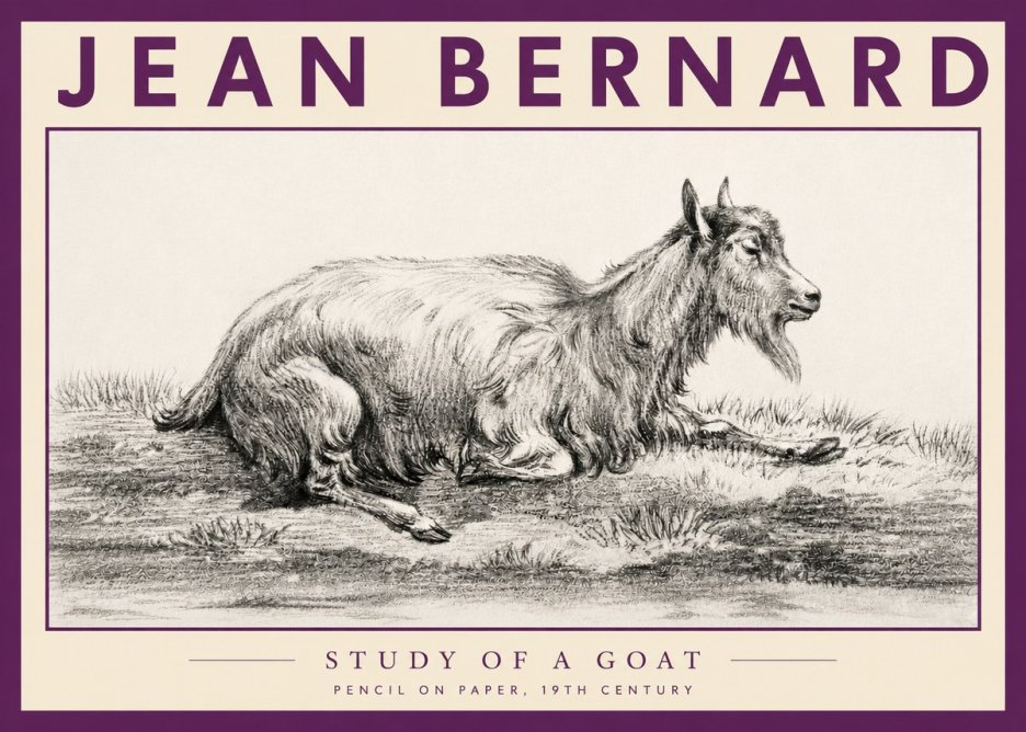 Jean Bernard Study of a Goat V No3 - Poster