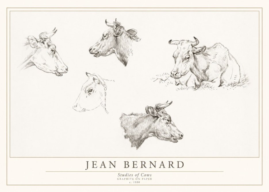 Jean Bernard Studies of Cows I No1 - Poster