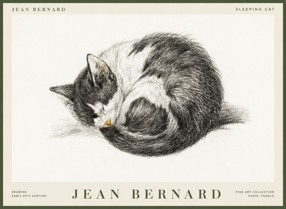 Jean Bernard Sleeping Cat VIII No1 - Poster