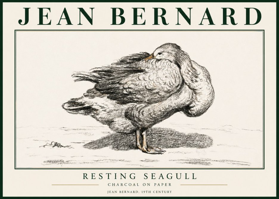 Jean Bernard Resting Seagull No3 - Poster