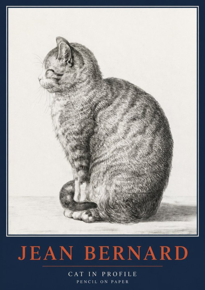 Jean Bernard Cat in Profile No2 - Poster