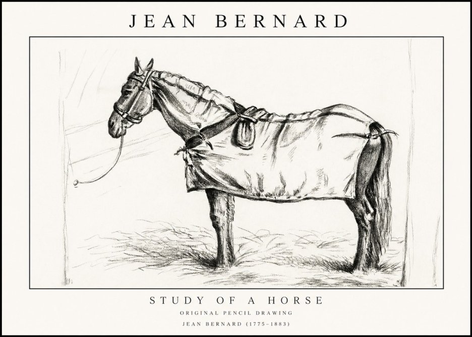 Jean Bernard Study of a Horse XI No1 - Poster