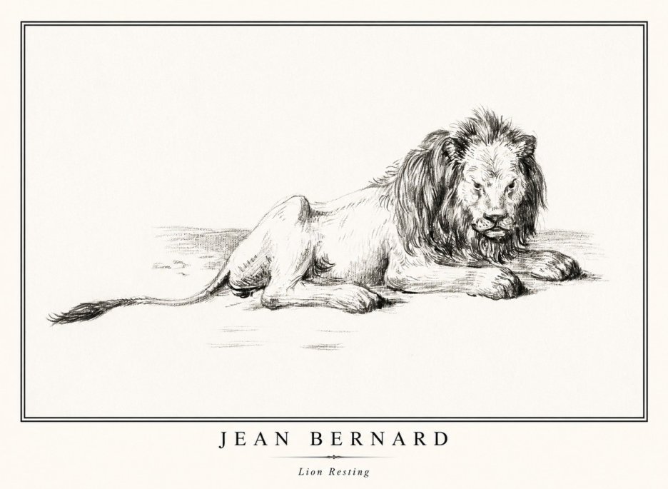 Jean Bernard Lion Resting No1 - Poster