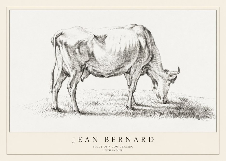 Jean Bernard Study of a Cow Grazing II No1 - Poster