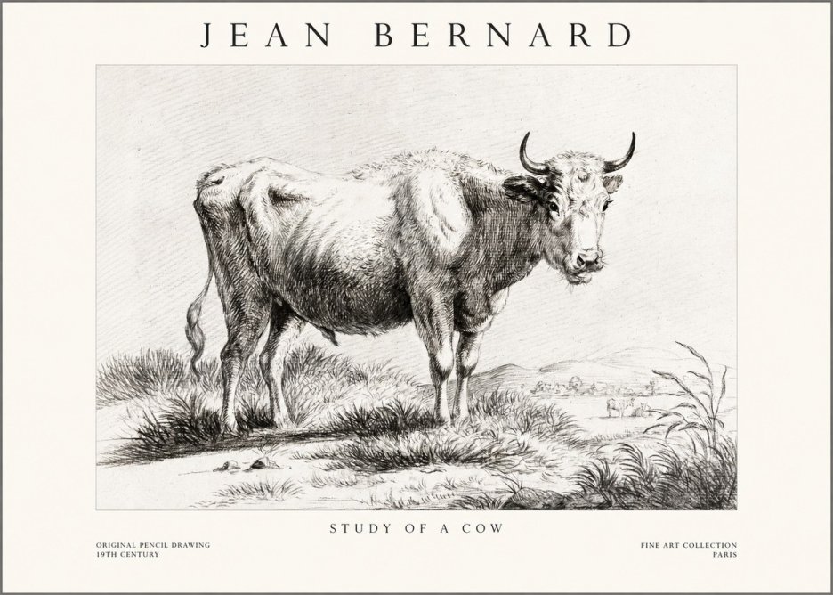 Jean Bernard Study of a Cow XVI No1 - Poster