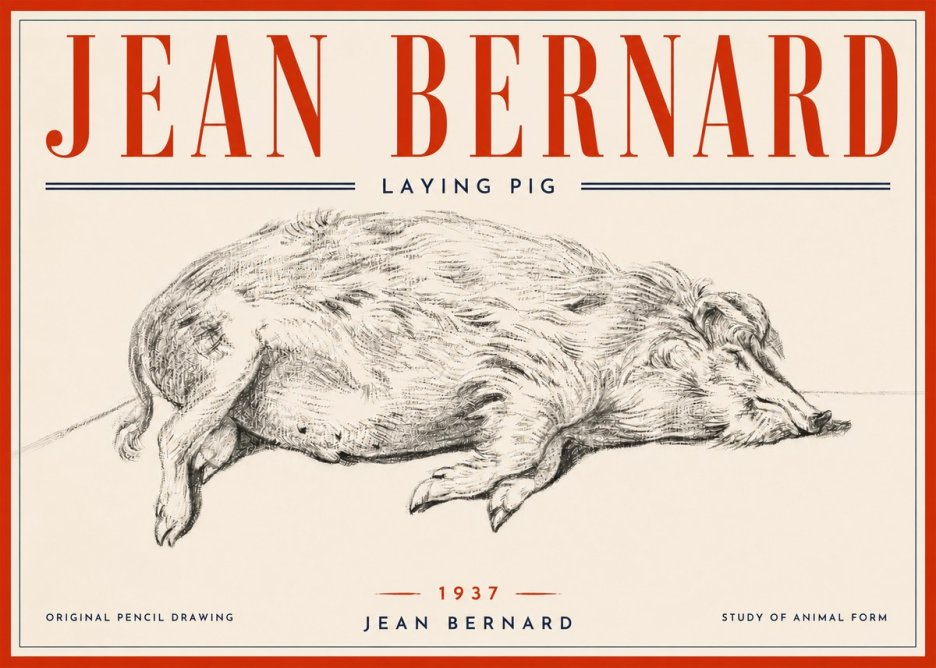 Jean Bernard Laying Pig No6 - Poster