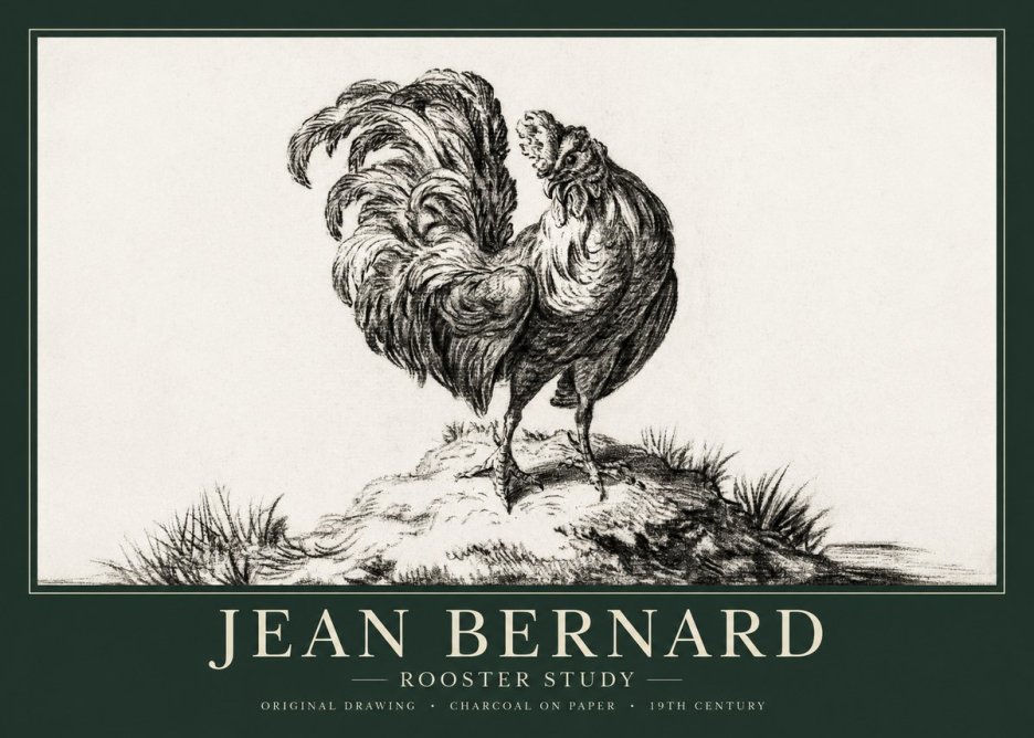Jean Bernard Study of a Rooster No2 - Poster
