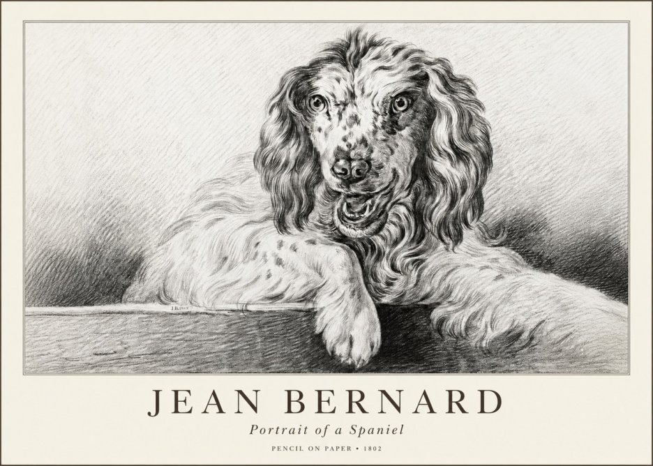 Jean Bernard Portrait of a Spaniel No1 - Poster