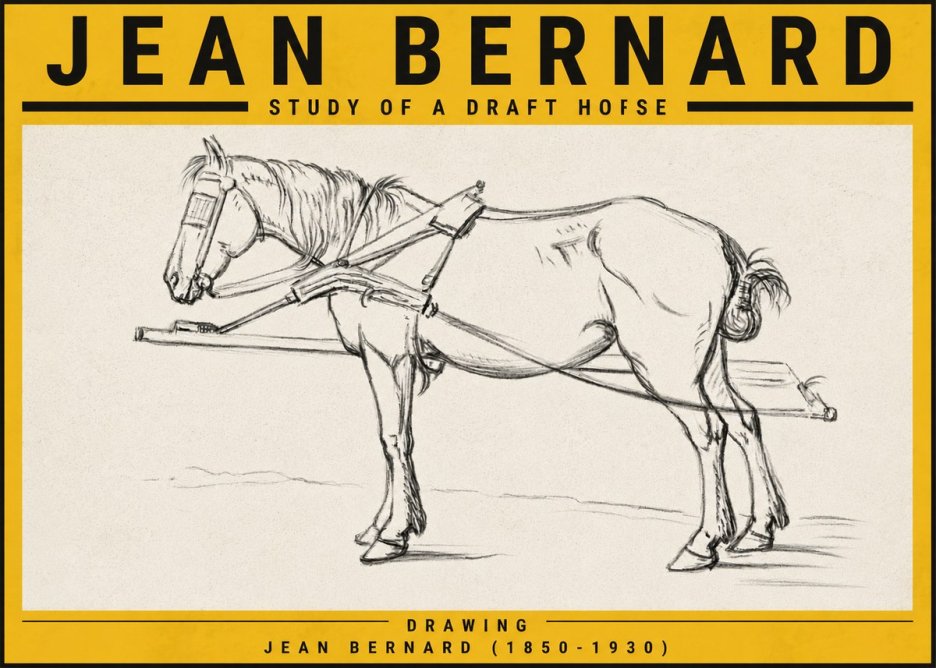 Jean Bernard Study of a Draft Horse II No5 - Poster