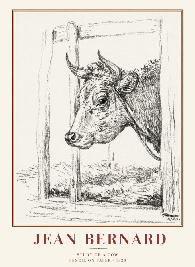 Jean Bernard Study of a Cow XVIII No1 - Poster