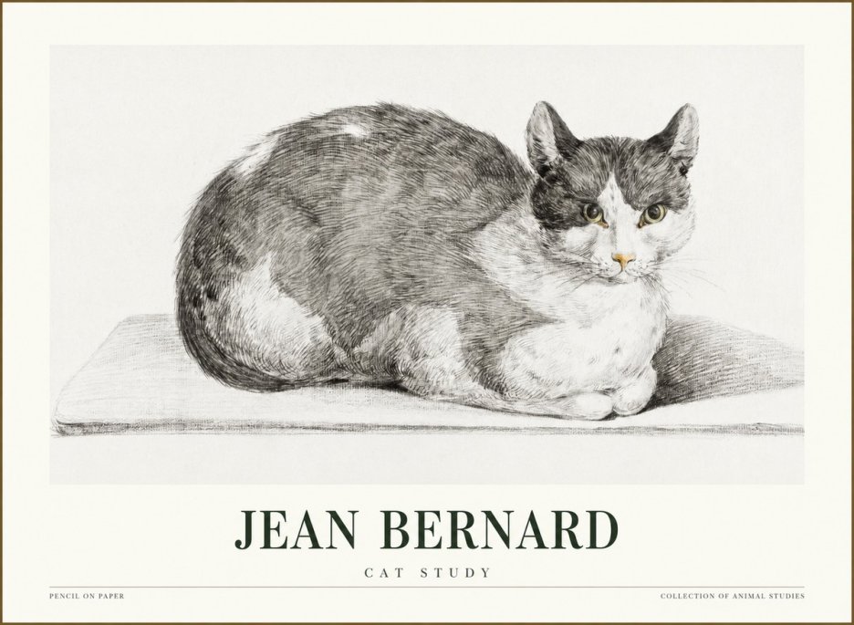 Jean Bernard Cat Study XI No1 - Poster