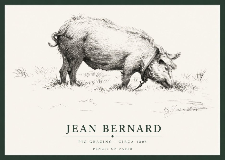 Jean Bernard Pig Grazing No1 - Poster