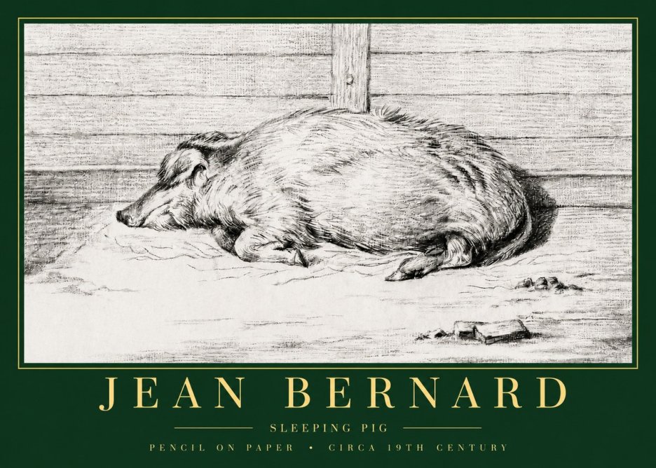 Jean Bernard Sleeping Pig I No3 - Poster