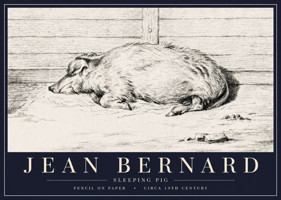Jean Bernard Sleeping Pig I No6 - Poster