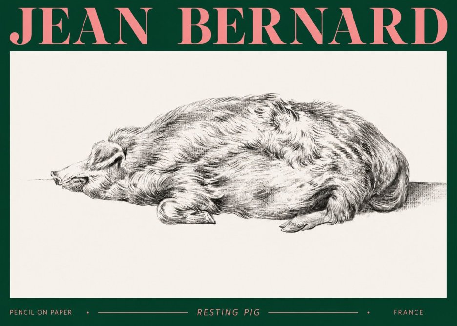Jean Bernard Resting Pig II No2 - Poster