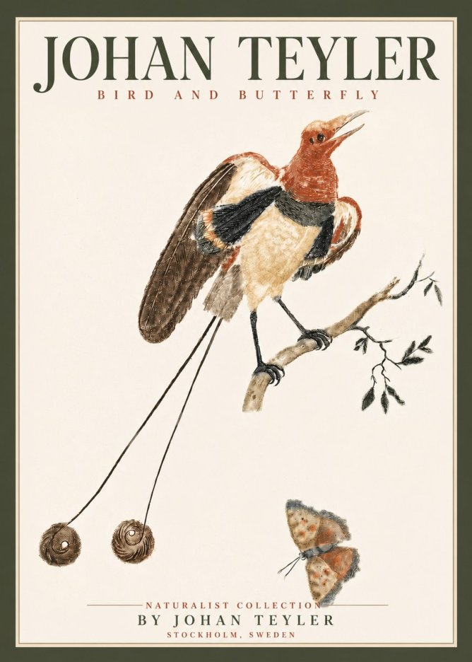 Johan Teyler Bird and Butterfly No4 - Poster