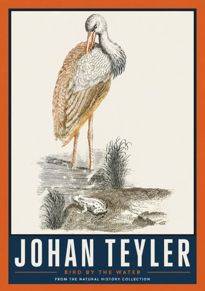 Johan Teyler Bird by the Water No2 - Poster