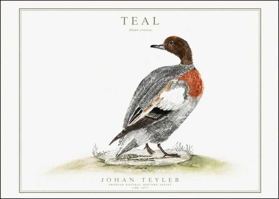 Johan Teyler Teal No1 - Poster