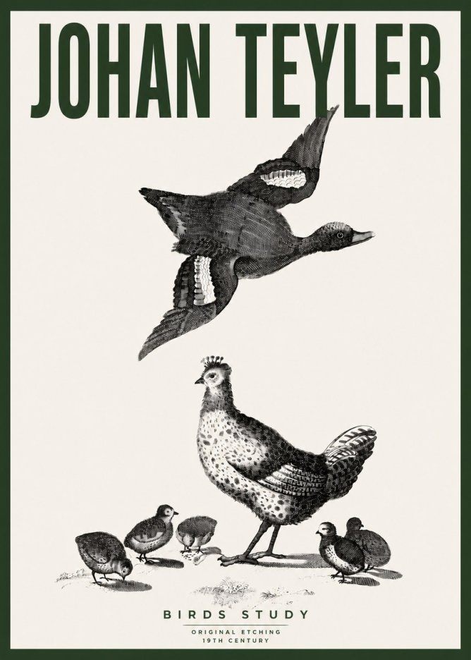 Johan Teyler Birds Study No4 - Poster