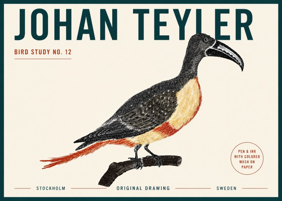 Johan Teyler Bird Study No. 12 - Original Drawing No5 - Poster