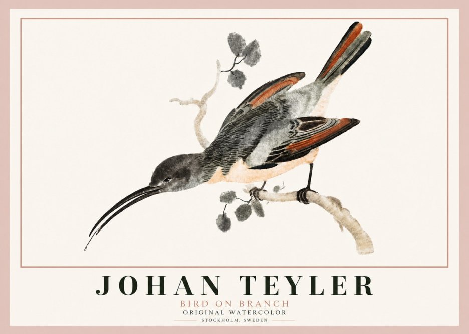 Johan Teyler Bird on Branch II No3 - Poster