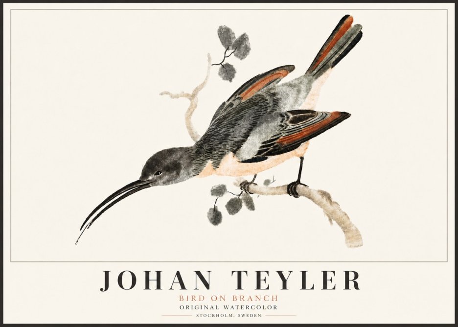Johan Teyler Bird on Branch II No5 - Poster