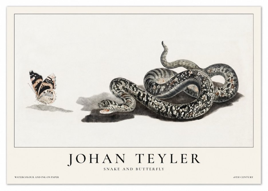 Johan Teyler Snake and Butterfly No1 - Poster