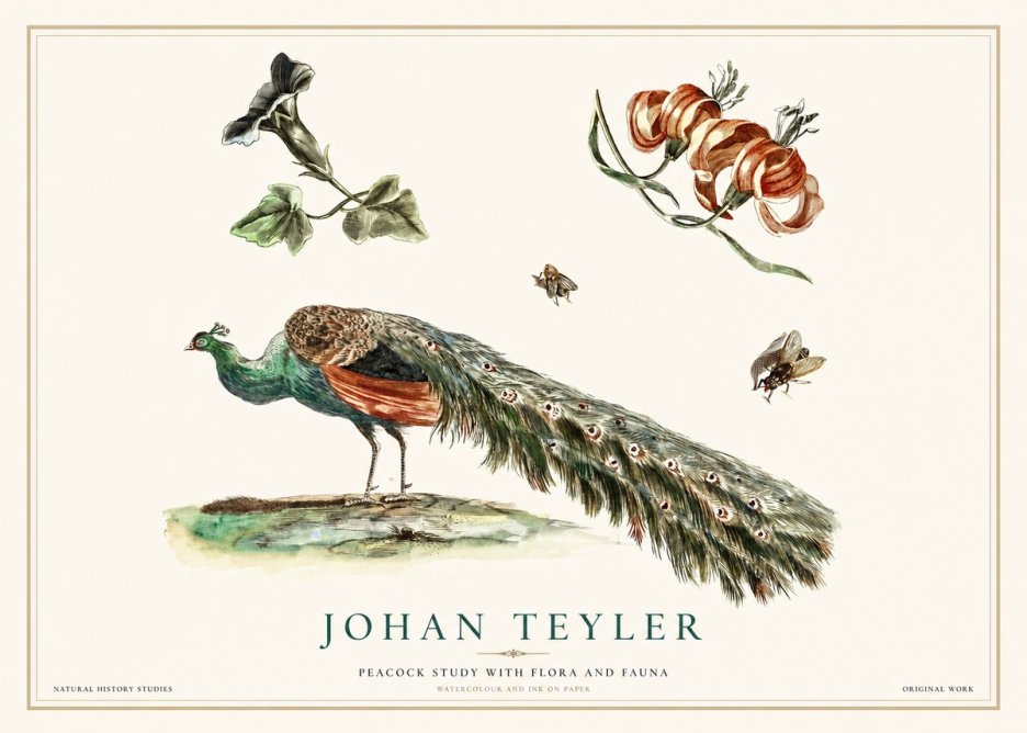 Johan Teyler Peacock Study with Flora and Fauna No1 - Poster