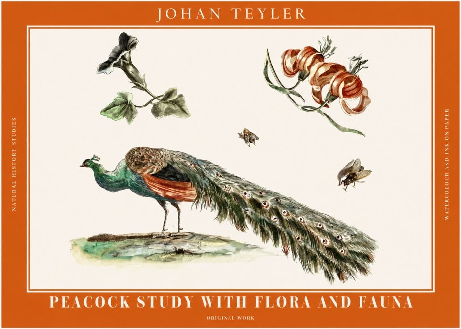 Johan Teyler Peacock Study with Flora and Fauna No2 - Poster