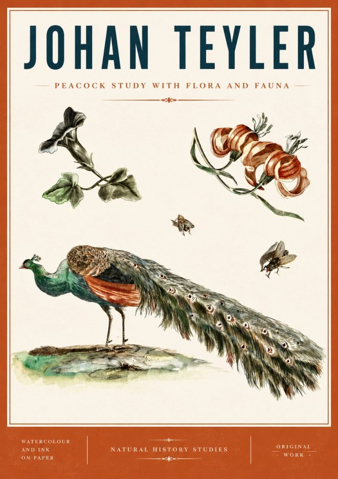Johan Teyler Peacock Study with Flora and Fauna No6 - Poster