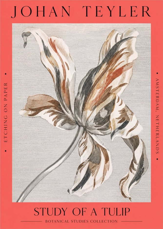 Johan Teyler Study of a Tulip No2 - Poster