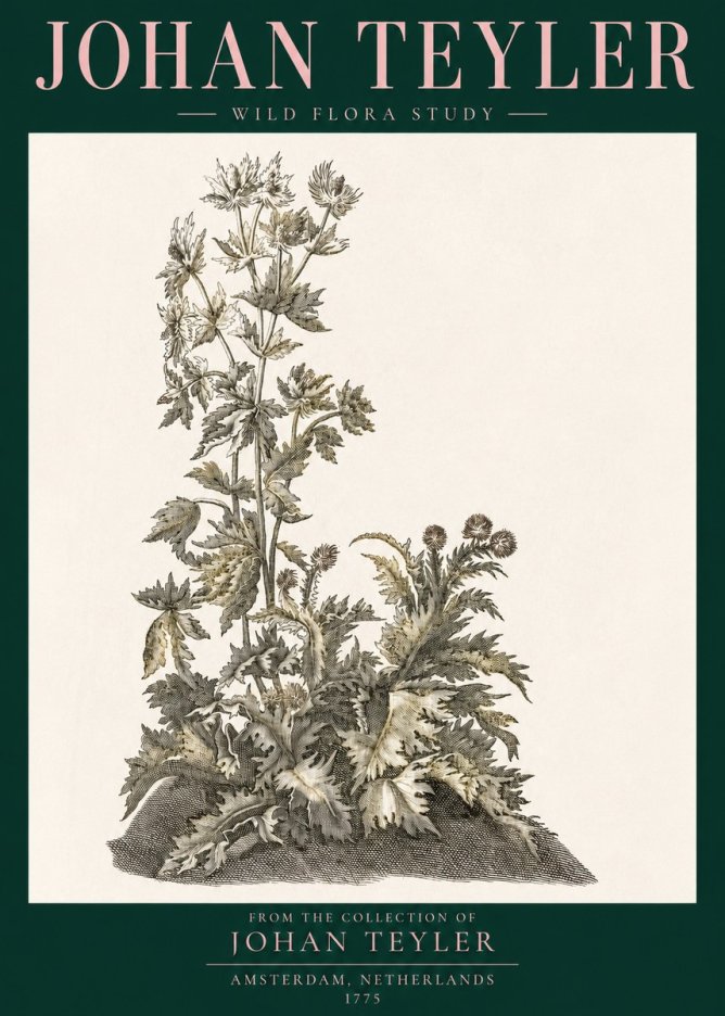 Johan Teyler Wild Flora Study No3 - Poster